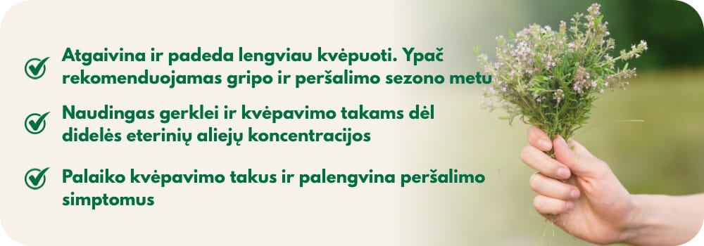 Čiobrelių kremas kvėpavimo takams, gerklei