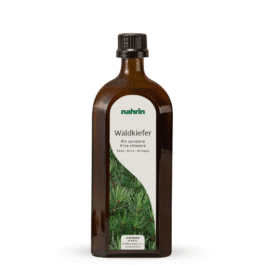 Pušų ūglių sirupas su medumi gerklei, 250ml, NAUJA SUDĖTIS